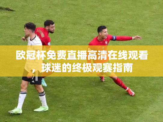 欧冠杯免费直播高清在线观看，球迷的终极观赛指南