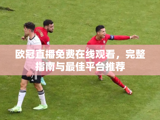 欧冠直播免费在线观看，完整指南与最佳平台推荐