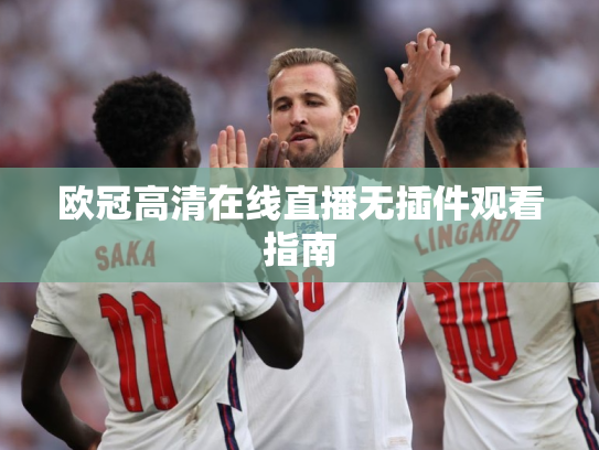 欧冠高清在线直播无插件观看指南