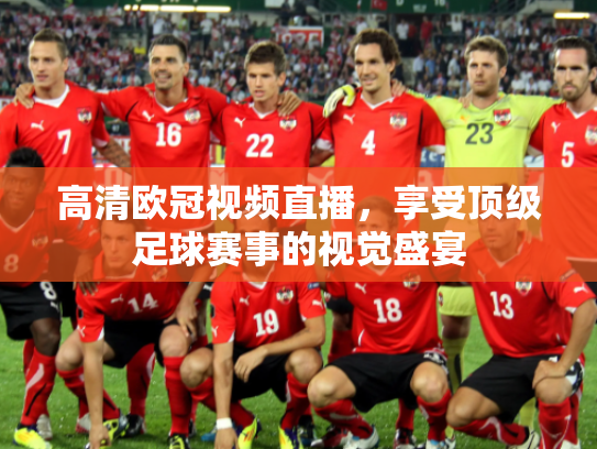 高清欧冠视频直播，享受顶级足球赛事的视觉盛宴