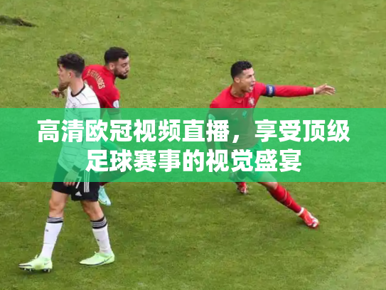 高清欧冠视频直播，享受顶级足球赛事的视觉盛宴
