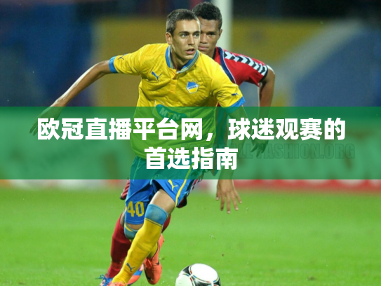 欧冠直播平台网，球迷观赛的首选指南