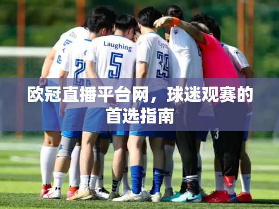 欧冠直播平台网，球迷观赛的首选指南