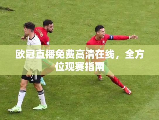 欧冠直播免费高清在线，全方位观赛指南