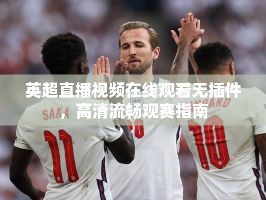 英超直播视频在线观看无插件，高清流畅观赛指南