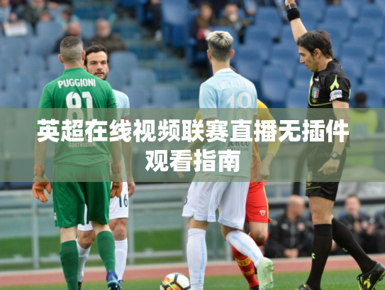 英超在线视频联赛直播无插件观看指南