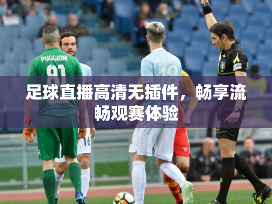足球直播高清无插件，畅享流畅观赛体验