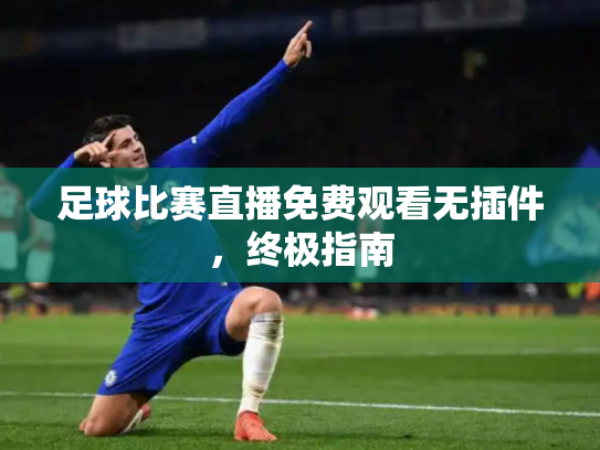 足球比赛直播免费观看无插件，终极指南