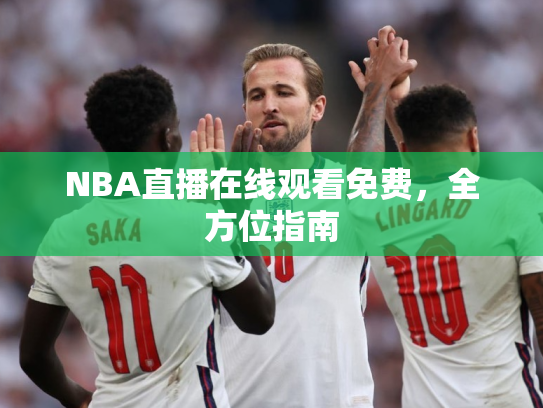 NBA直播在线观看免费，全方位指南