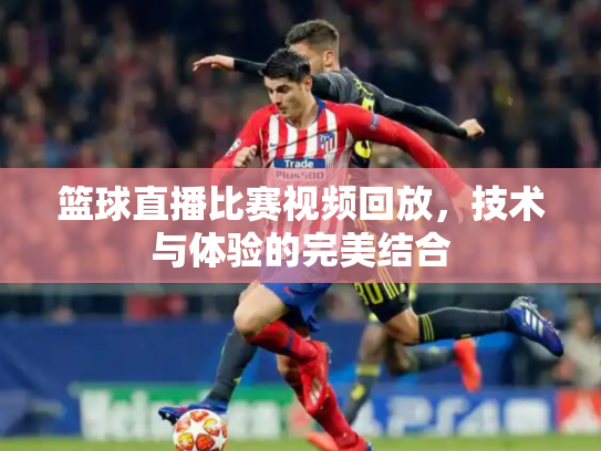 篮球直播比赛视频回放，技术与体验的完美结合