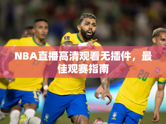 NBA直播高清观看无插件，最佳观赛指南