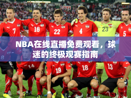 NBA在线直播免费观看，球迷的终极观赛指南