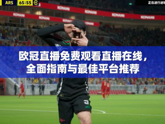 欧冠直播免费观看直播在线，全面指南与最佳平台推荐