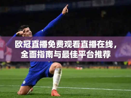欧冠直播免费观看直播在线，全面指南与最佳平台推荐