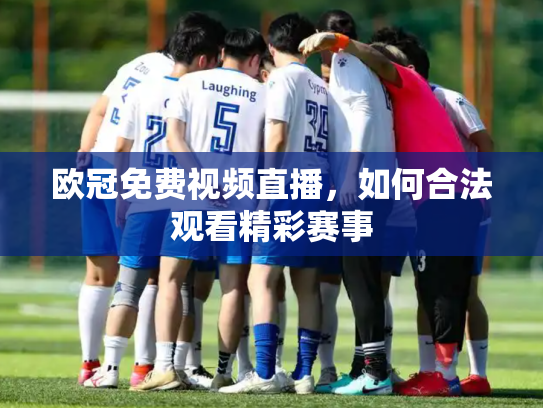 欧冠免费视频直播，如何合法观看精彩赛事