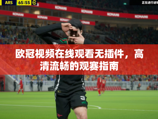 欧冠视频在线观看无插件，高清流畅的观赛指南