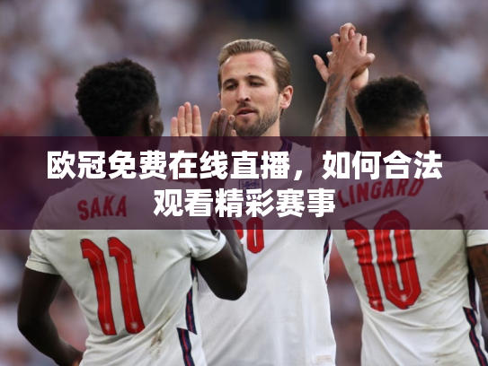 欧冠免费在线直播，如何合法观看精彩赛事