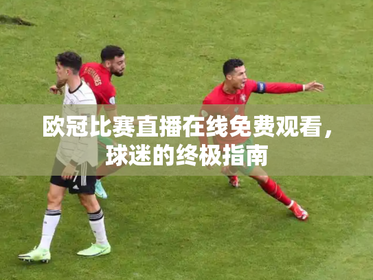 欧冠比赛直播在线免费观看，球迷的终极指南