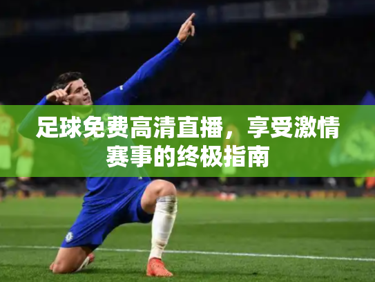 足球免费高清直播，享受激情赛事的终极指南