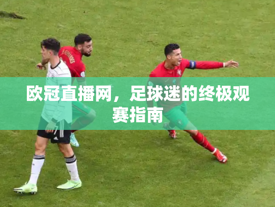 欧冠直播网，足球迷的终极观赛指南