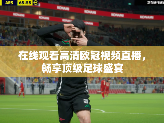 在线观看高清欧冠视频直播，畅享顶级足球盛宴