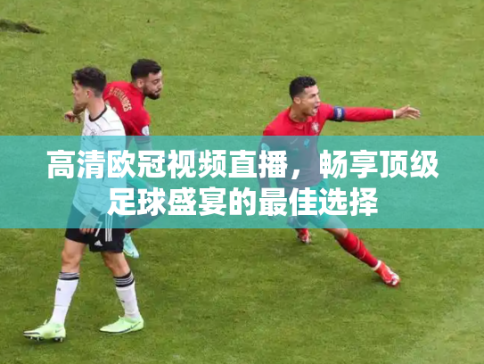 高清欧冠视频直播，畅享顶级足球盛宴的最佳选择