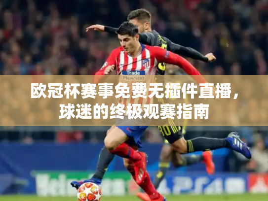 欧冠杯赛事免费无插件直播，球迷的终极观赛指南