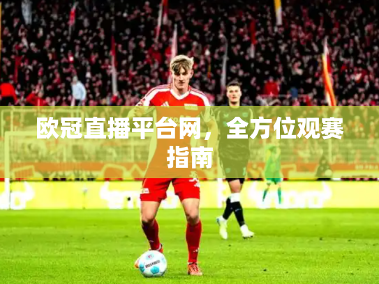 欧冠直播平台网，全方位观赛指南