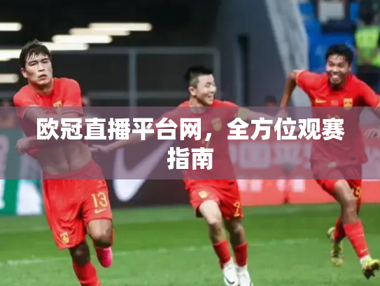 欧冠直播平台网，全方位观赛指南