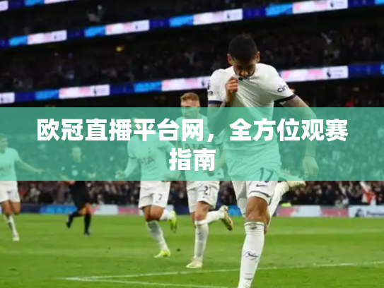 欧冠直播平台网，全方位观赛指南