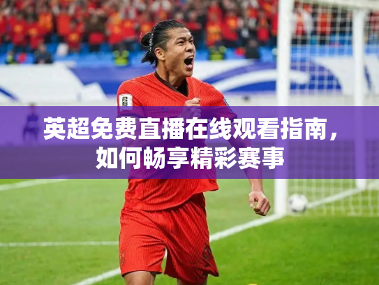 英超免费直播在线观看指南，如何畅享精彩赛事