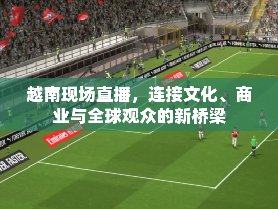 越南现场直播，连接文化、商业与全球观众的新桥梁