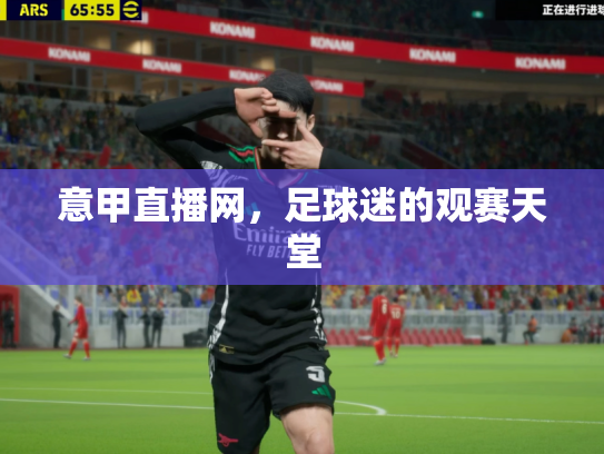 意甲直播网，足球迷的观赛天堂