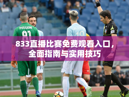 833直播比赛免费观看入口，全面指南与实用技巧