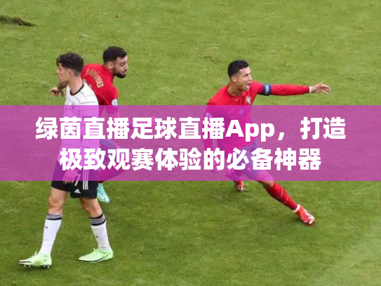 绿茵直播足球直播App，打造极致观赛体验的必备神器