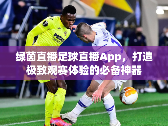 绿茵直播足球直播App，打造极致观赛体验的必备神器