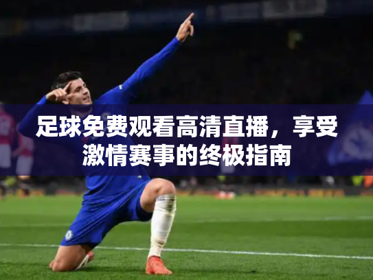 足球免费观看高清直播，享受激情赛事的终极指南
