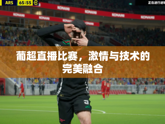 葡超直播比赛，激情与技术的完美融合