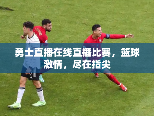 勇士直播在线直播比赛，篮球激情，尽在指尖