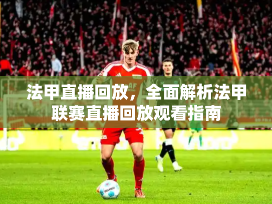 法甲直播回放，全面解析法甲联赛直播回放观看指南
