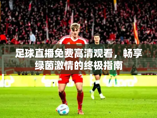 足球直播免费高清观看，畅享绿茵激情的终极指南