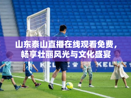 山东泰山直播在线观看免费，畅享壮丽风光与文化盛宴