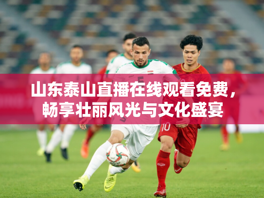 山东泰山直播在线观看免费，畅享壮丽风光与文化盛宴