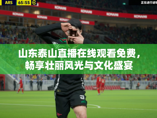 山东泰山直播在线观看免费，畅享壮丽风光与文化盛宴