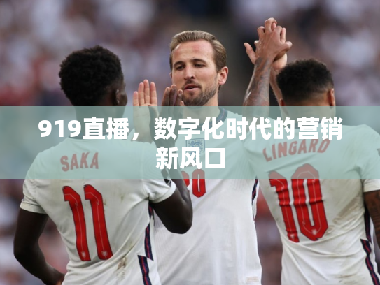 919直播，数字化时代的营销新风口