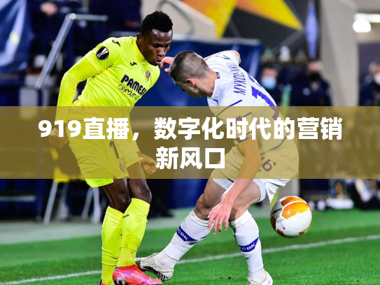 919直播，数字化时代的营销新风口