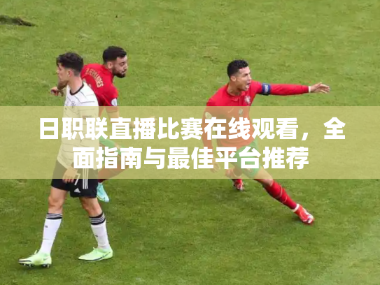 日职联直播比赛在线观看，全面指南与最佳平台推荐