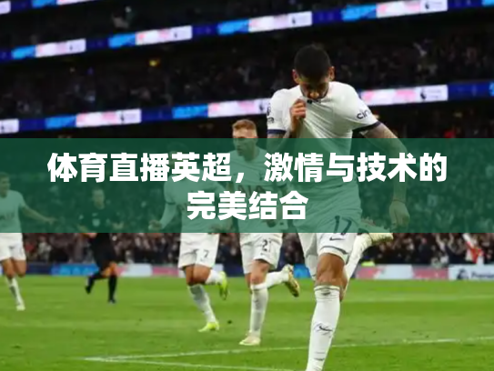 体育直播英超，激情与技术的完美结合