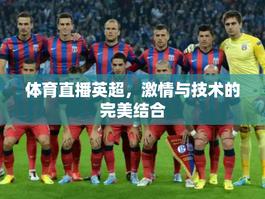 体育直播英超，激情与技术的完美结合