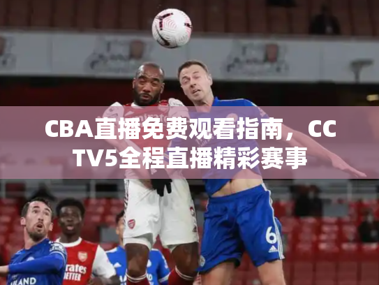 CBA直播免费观看指南，CCTV5全程直播精彩赛事